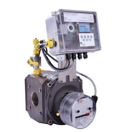 Đồng hồ đo lưu lượng khí dạng Rotary - RABO Compact với EK205 (Optional) Đồng hồ đo lưu lượng khí dạng Rotary - RABO Compact với EK205 (Optional)